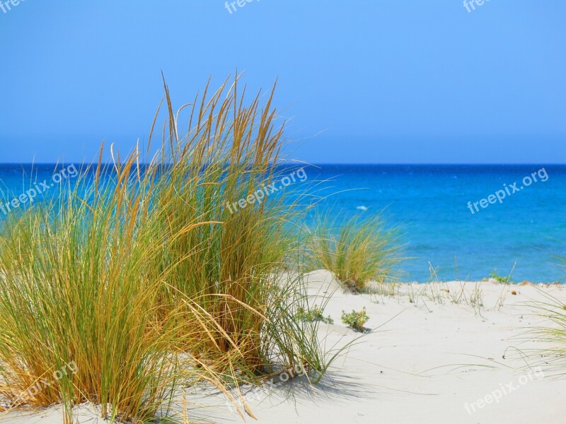 Beach Sardinia Sea Free Photos