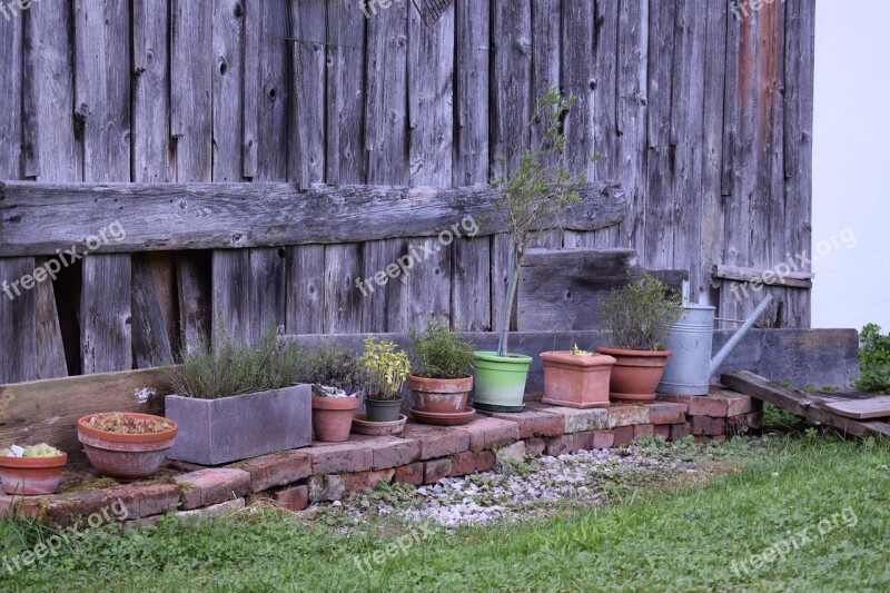 Yard Garden Potted Plants Plants Green