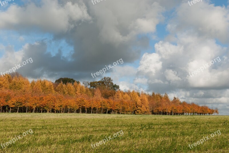 Fall Landscape Nature Trees Colors