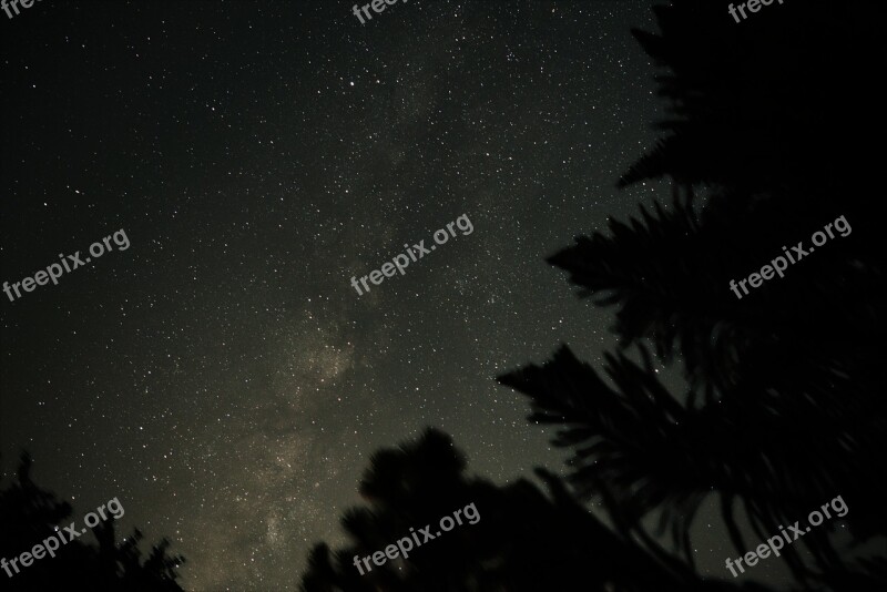 Milky Way Trees Space Night Stars