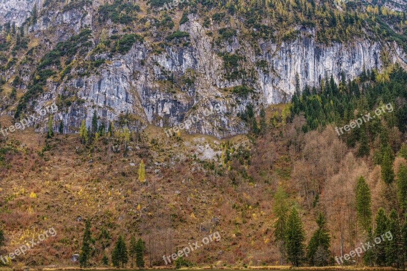 Rock Wall Mountain Imposing Alpine Trees