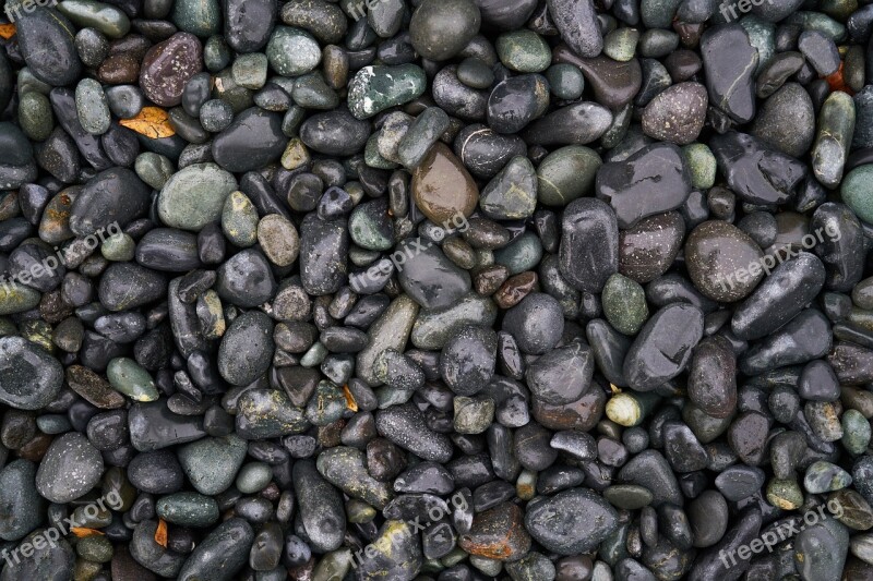 Stone Gravel Texture Beach Wet