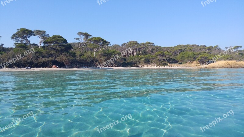 Porquerolles Var Pine Pinewood Turquoise Water