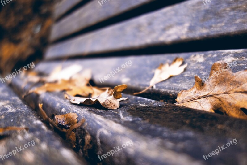 Bench Wooden Bench Park Bench Fall Leaves Autumn