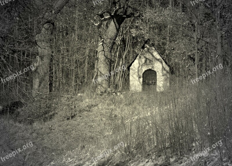 Cottage In The Forest Winter Stone House Heiligenhäuschen Frosty