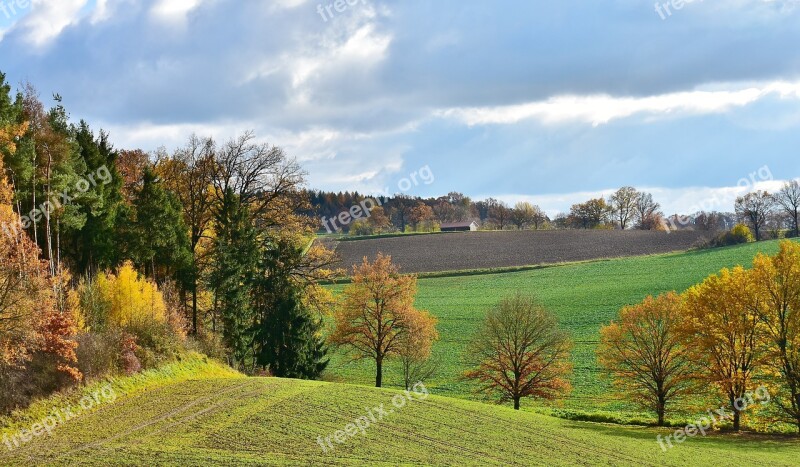 Landscape Tree Sunlight Nature Romantic