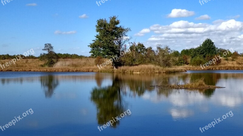 Water Pond Lake Trees Tree