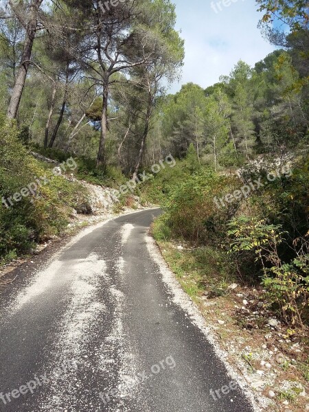 Path Fall Ceyreste La Ciotat Paca