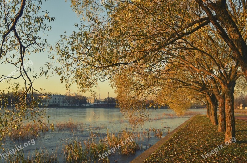 Autumn River Trees Landscape Nature