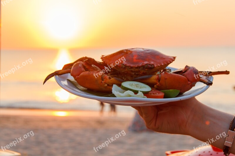 Sea Crab Animal Nature Water