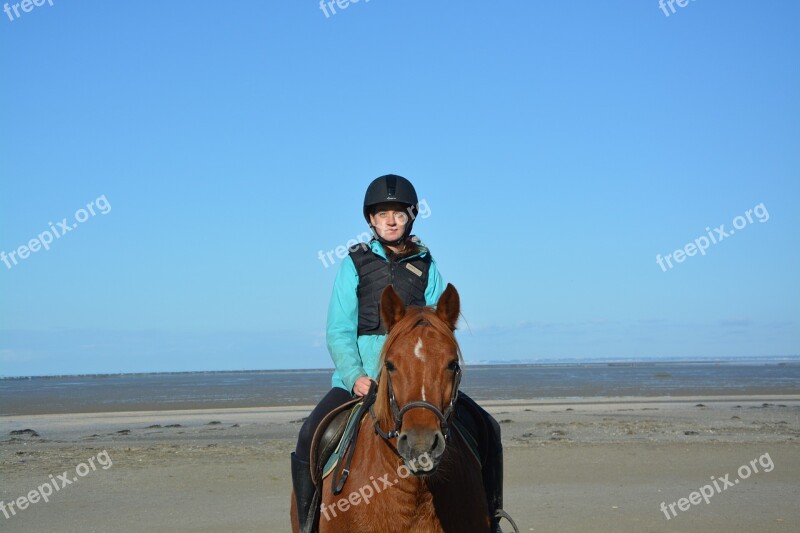 Young Woman Rider Horse Horseback Riding Complicity Seaside