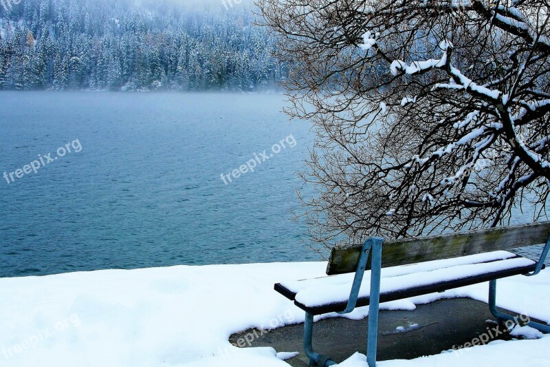 Bench Snow White The Fog In The Winter