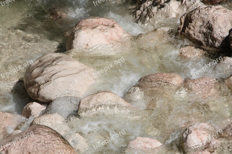 Water Bach Nature Natural Water Flow