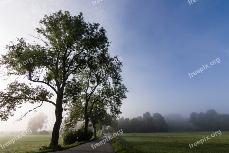 Nature Fog Autumn Road Landscape