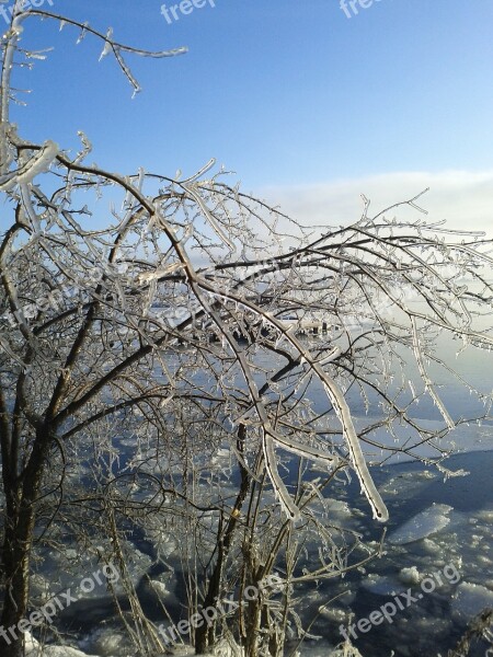 Winter Ice Storm Cold Icy Frozen