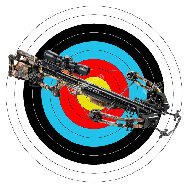 Crossbow Weapon Sport Weapon Arrow Target