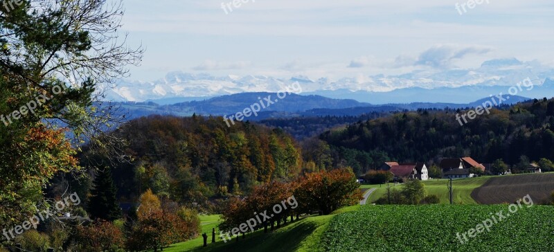 Landscape Nature Reported Agriculture Trees