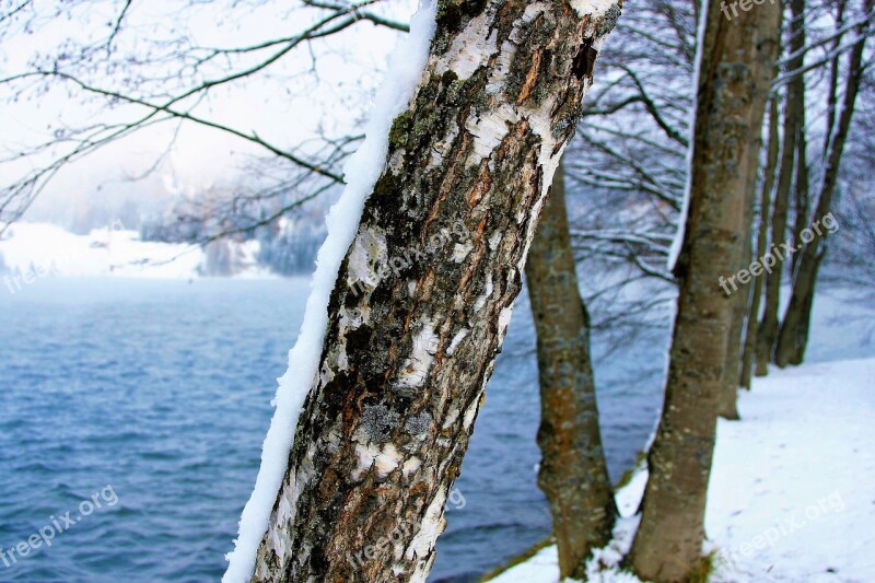 Winter Snow Lake Alpine Davos Closeup