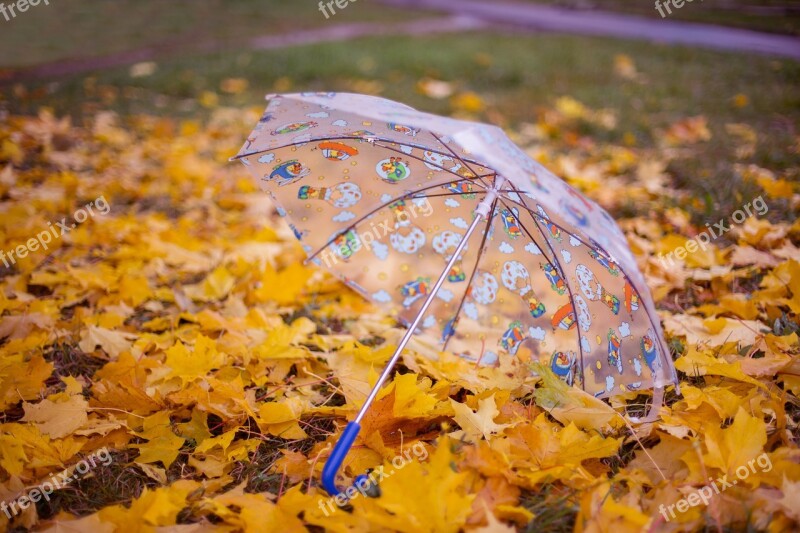 Autumn Umbrella Listopad Free Photos