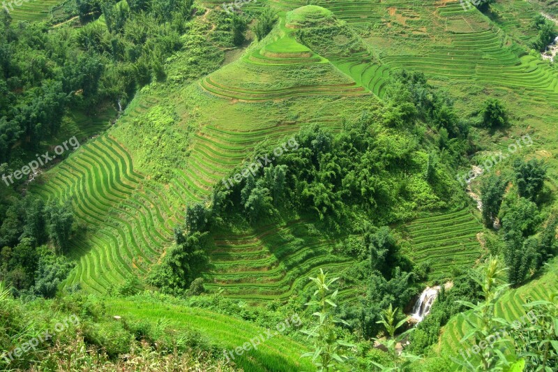 Travel Vietnam Sapa Rice Field Green