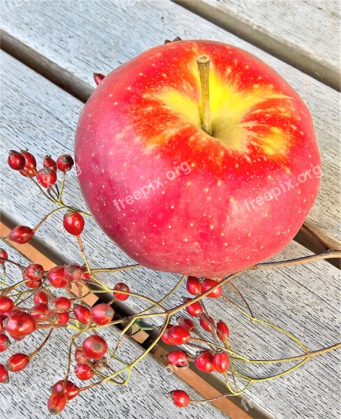 Apple Fruit Pome Fruit Red Sweet