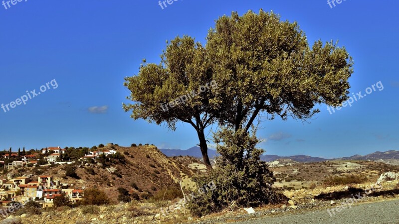 Tree Landscape Countryside Scenery Mediterranean