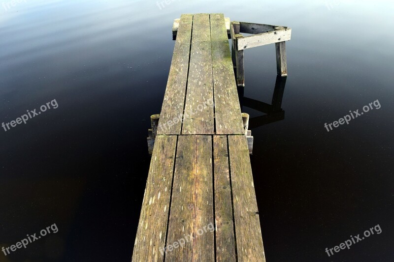 Web Wood Away Lake Pond