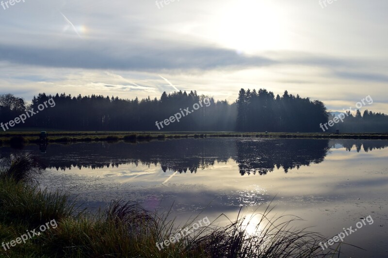 Lake Pond Water Nature Waters