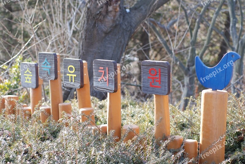 Sky Forest Kindergarten Yeongjongdo The Picture Park Trails The Sky