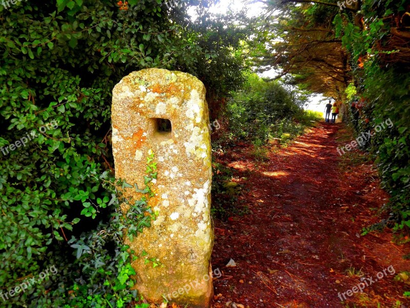 Menhir Brittany Trail Forest Pierre