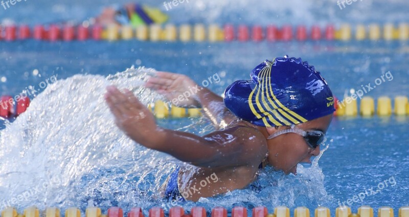 Swim Sport Olympic Women Free Photos