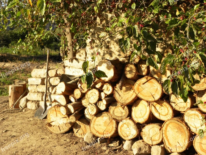 Trunks Lena Wood Cut Bark Farm