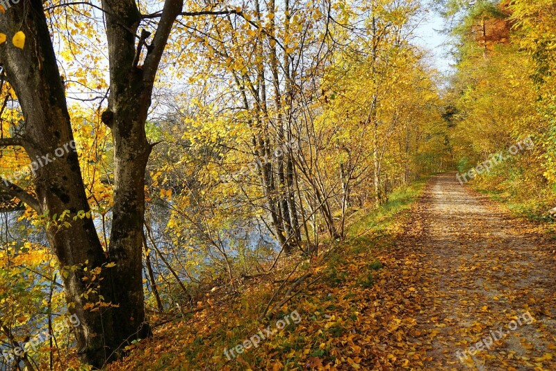 Autumn Danube Nature River Tuttlingen