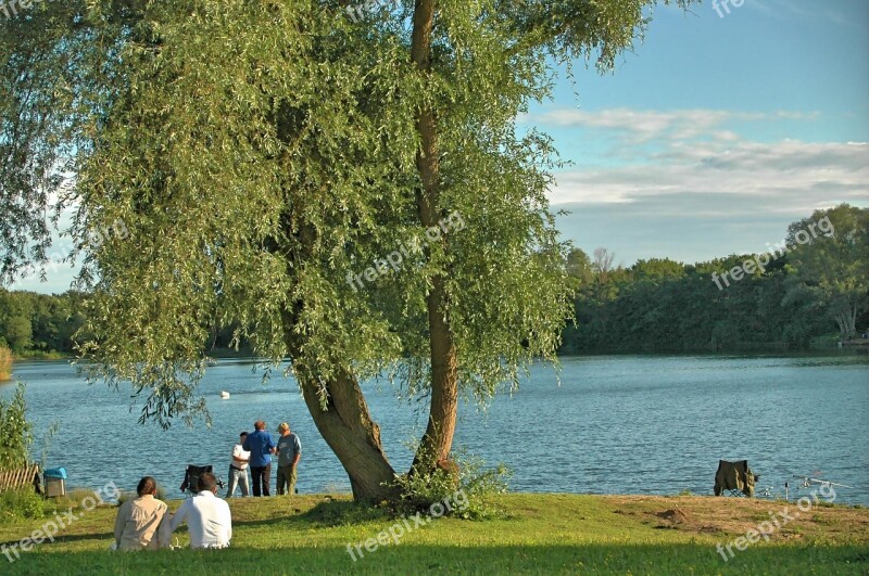 Angler's Pond Leisure Obertshausen Waldsee Local Recreation