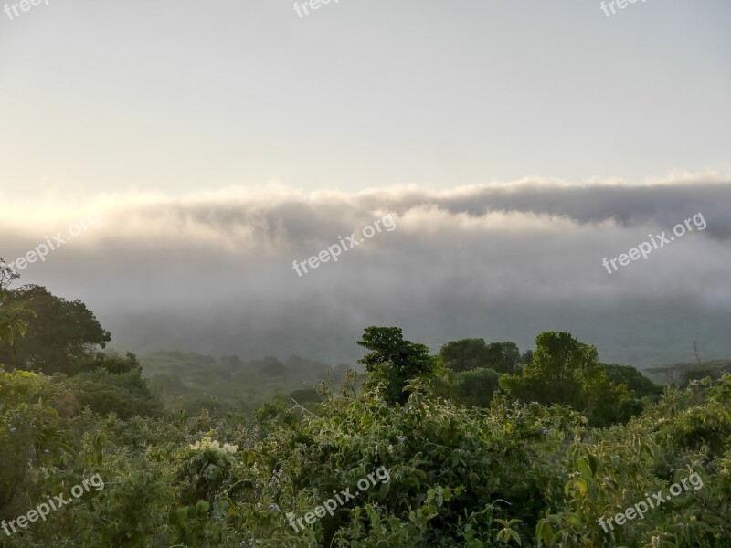 Himmel Nature Cloud Views Forest