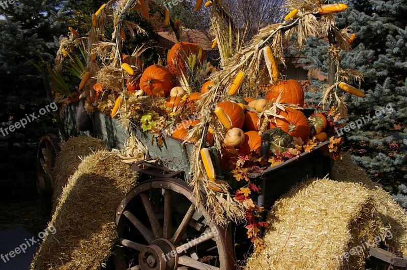 Halloween Santa Fe Pumpkins Orange Autumn