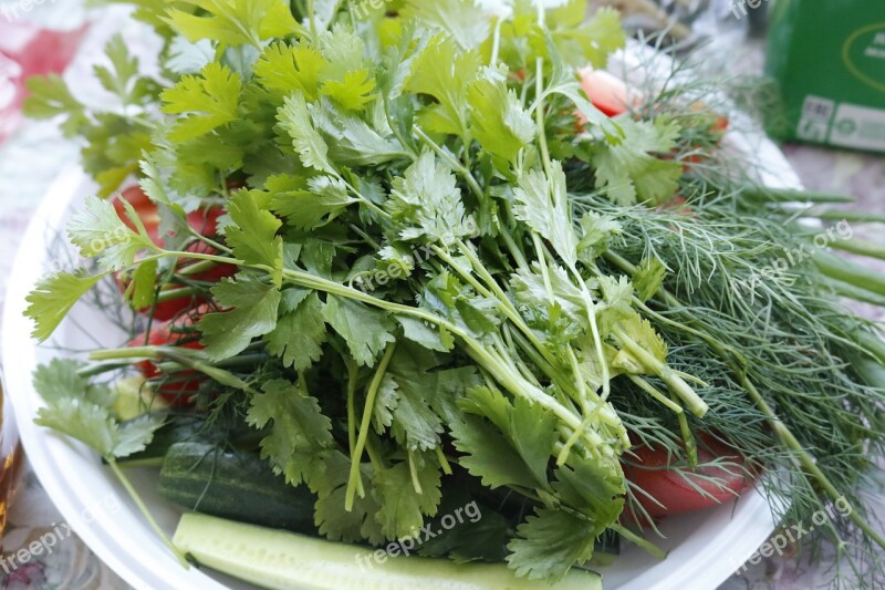 Greens Parsley Dill Salad Vegetable Garden