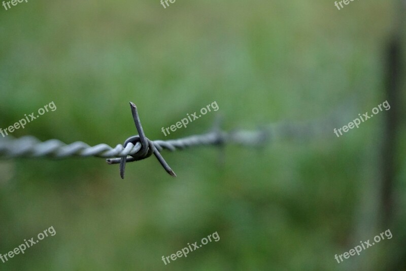 Barbwire Fence Wire Border Security