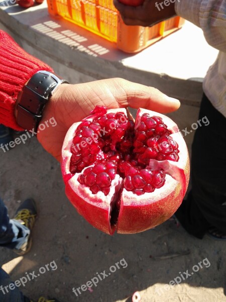 Pomegranate Fruit Ripe Pomegranate Garden Fresh Pomegranate Free Photos