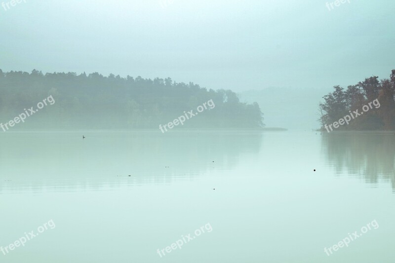 Lake The Fog Pond Reflection Forest