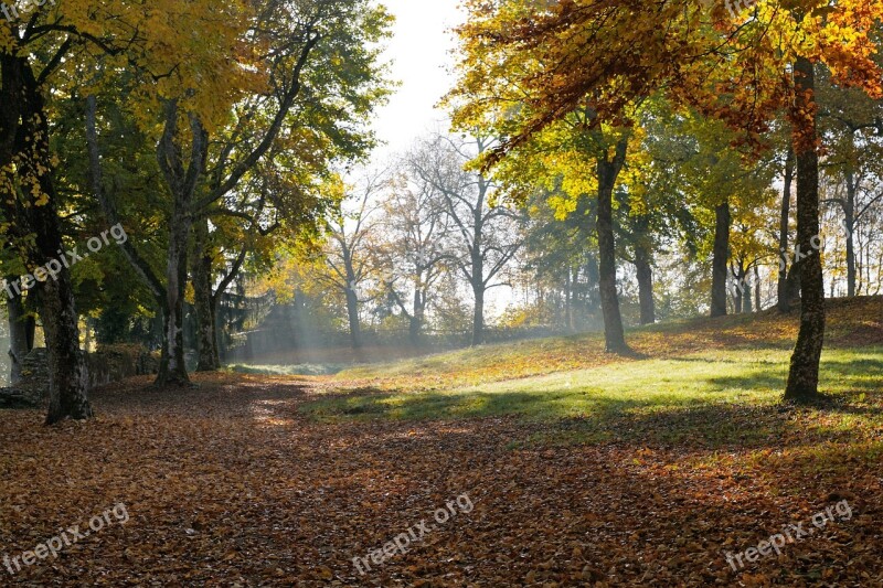 Autumn Hike Tuttlingen Honing Mountain Honing Castle