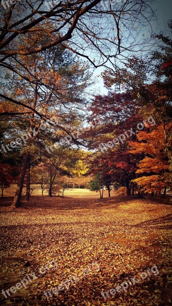 Autumn Landscape Leaves Wallpapers Nature