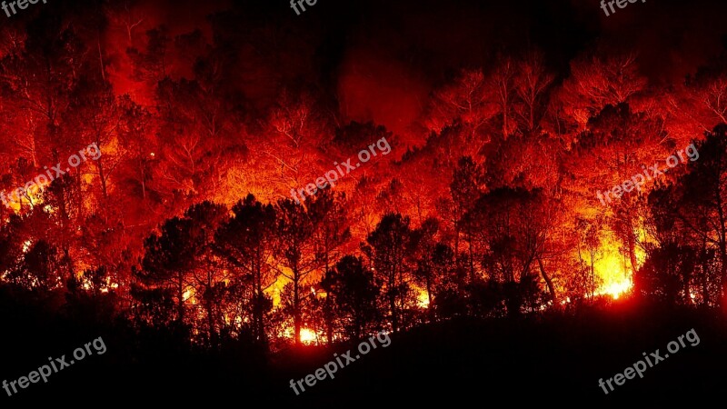 Forest Fires Fire Hell Free Photos