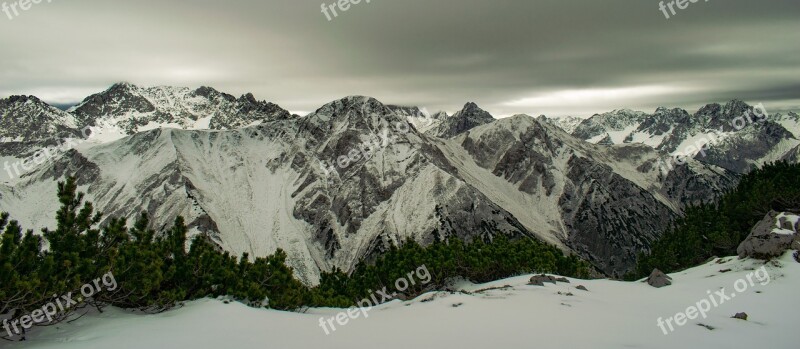 Alps Autumn November Mountains Dwarf Pine