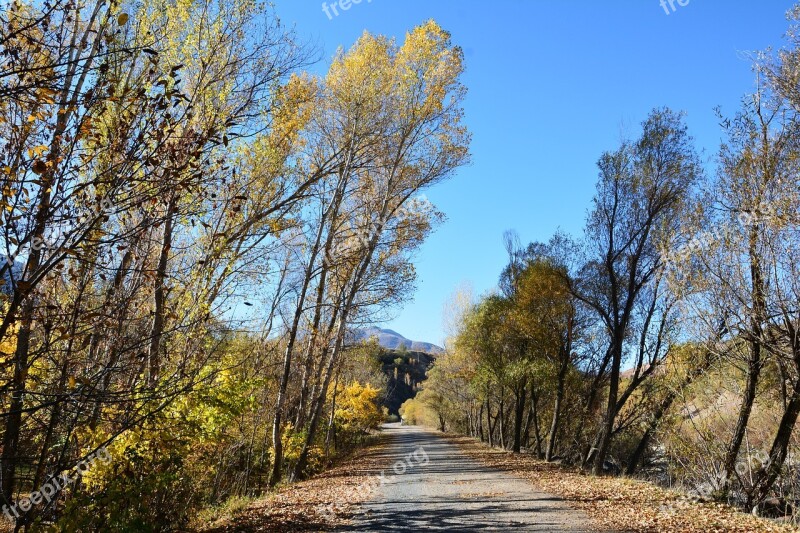 Autumn Season Nature Background Beautiful