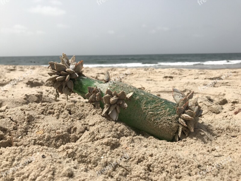 Beach Sea Message In A Bottle Mussels Flotsam