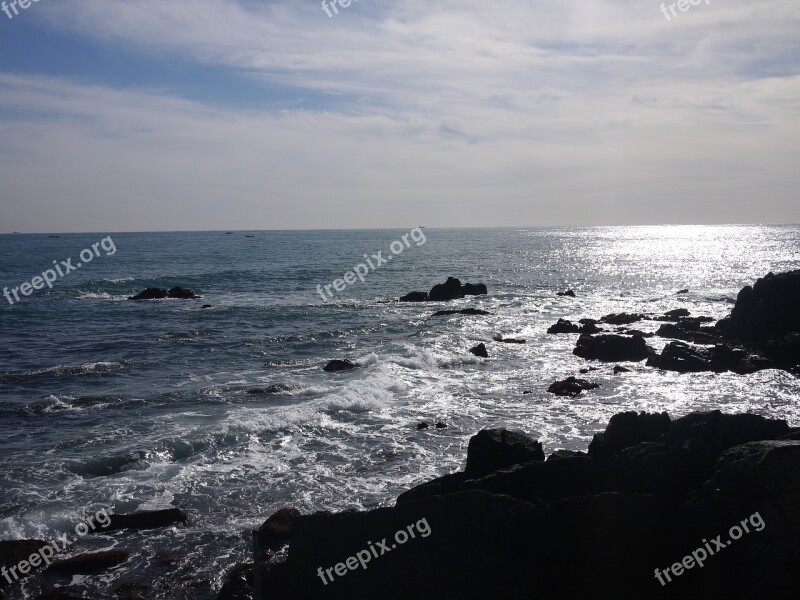 Sea Japan Sea Winter Sea Free Photos