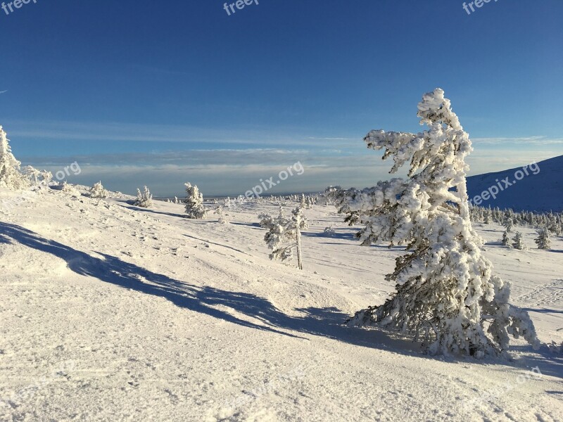 Landscape Nature Fell Lapland Ylläs