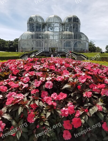 Botanical Garden Curitiba Paraná Flowers Greenhouse