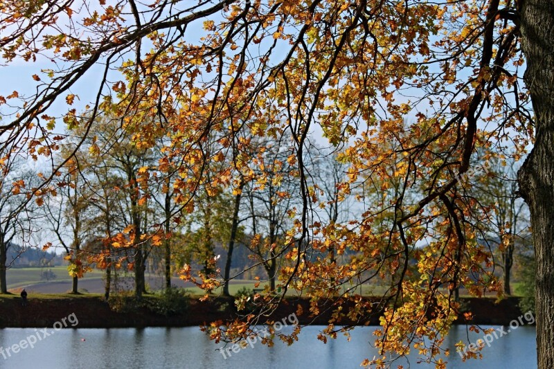 Landscape Autumn Landscape Lake Trees Leaves